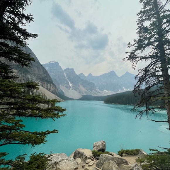 Meet your Posher, Kelsey - Picture 3 of 4